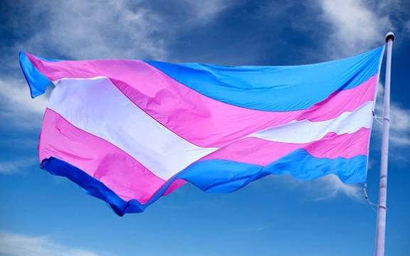 Notícias - Lei municipal de São Paulo deve incluir transmasculinos em programa de distribuição de absorventes
